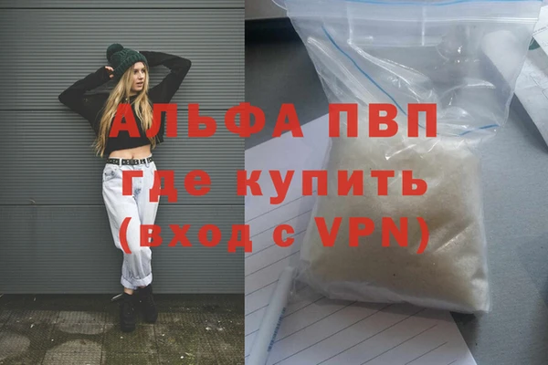 мдпв Богданович