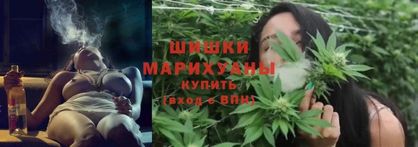 мдпв Богданович