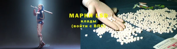 мдпв Богданович