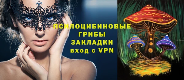 мдпв Богданович