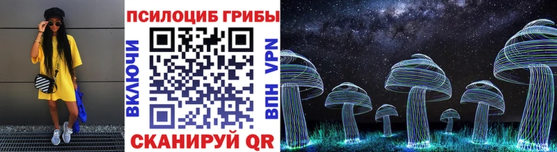 Псилоцибиновые грибы Magic Shrooms  Купить закладки  Горячий Ключ 